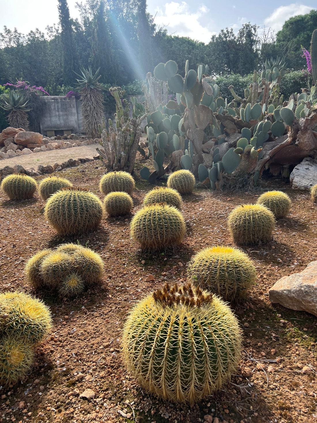 Mallorca – Seidentuniken, Statement Prints und mediterrane Inspiration