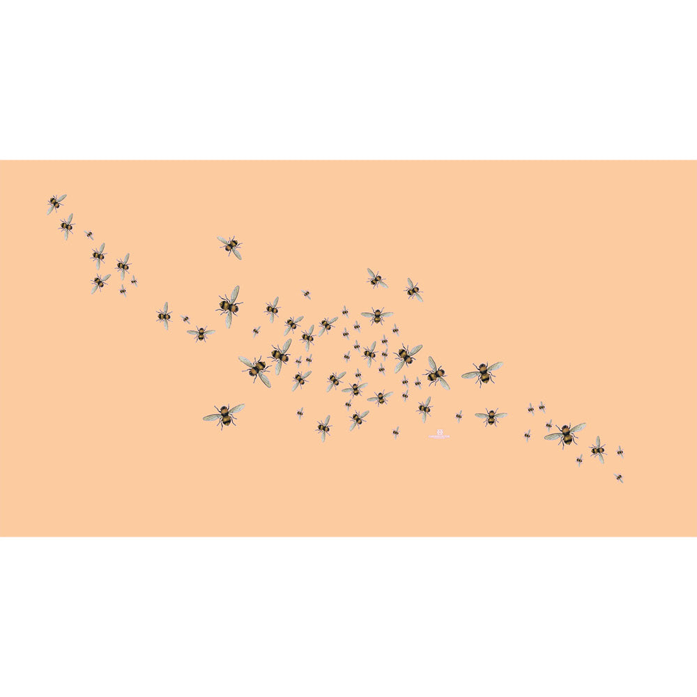 HUMMELFLUG CASHMERE SCARF - APRICOT