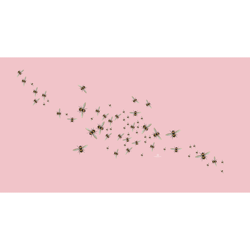 HUMMELFLUG CASHMERE SCARF - ROSE