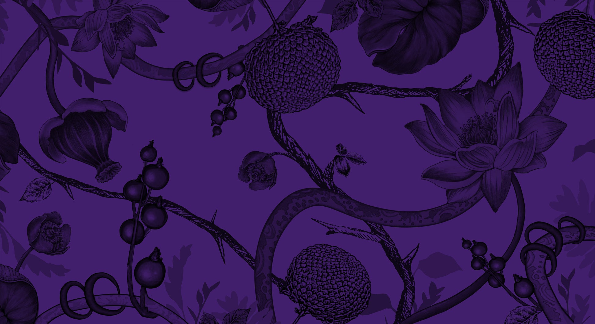 BOTANICAL FELTED CASHMERE  SCARF