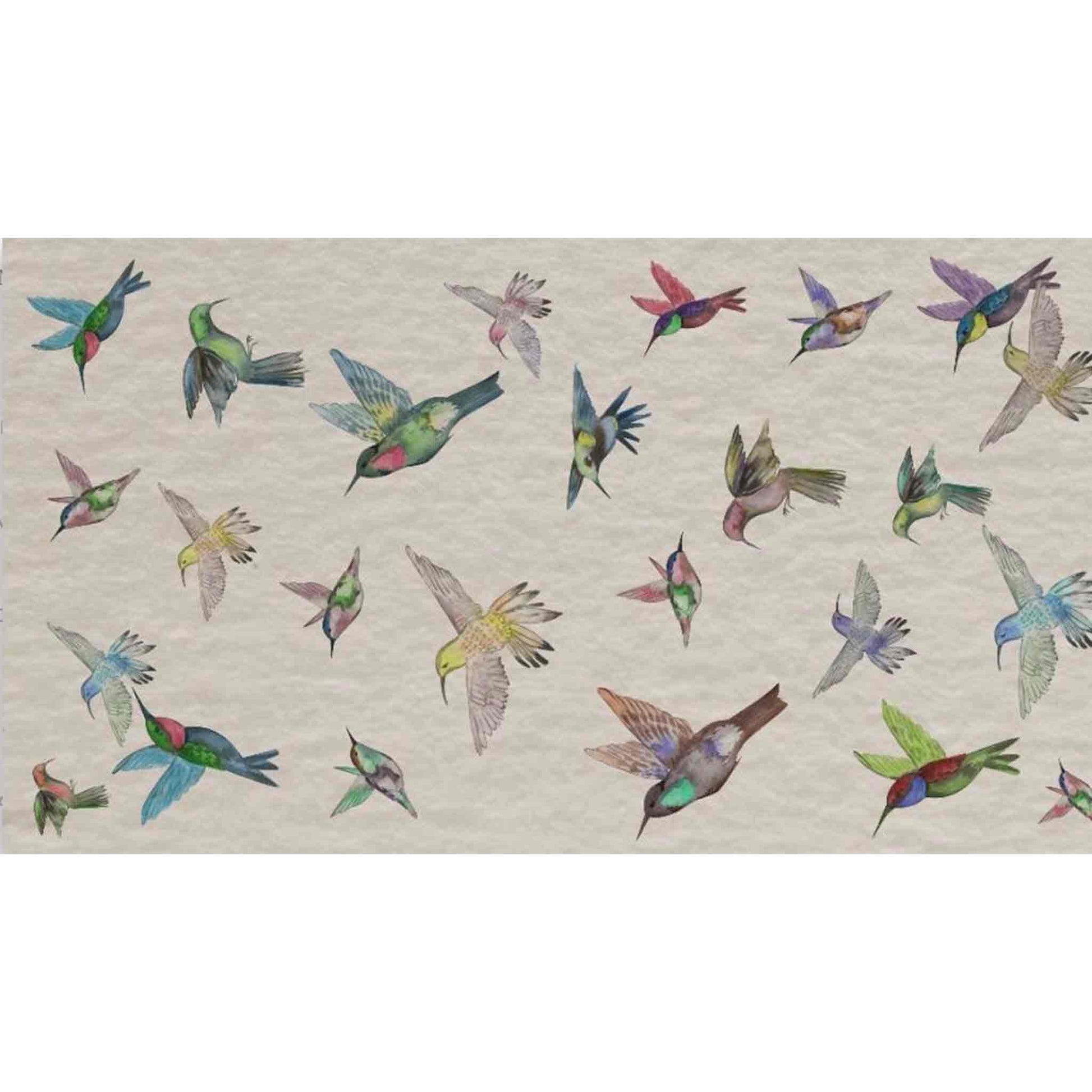 KOLIBRI LIFE CASHMERE SCARF