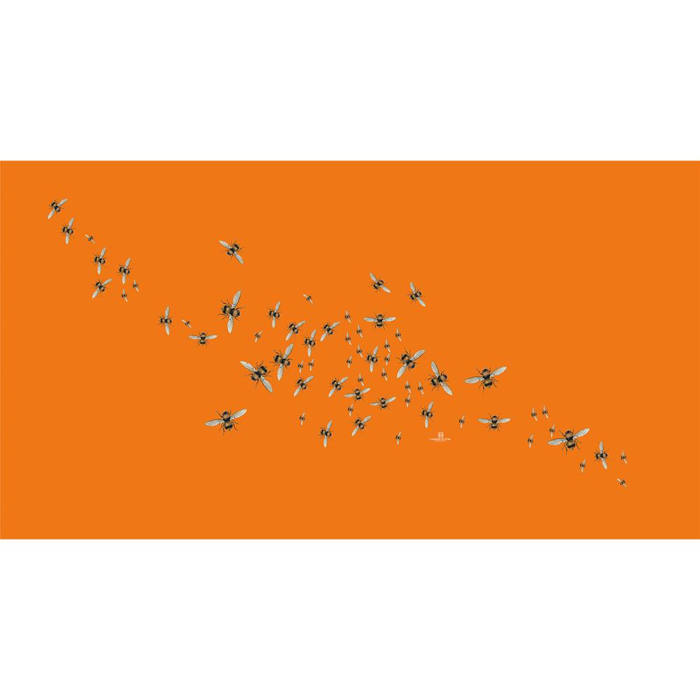 HUMMELFLUG CASHMERE SCARF