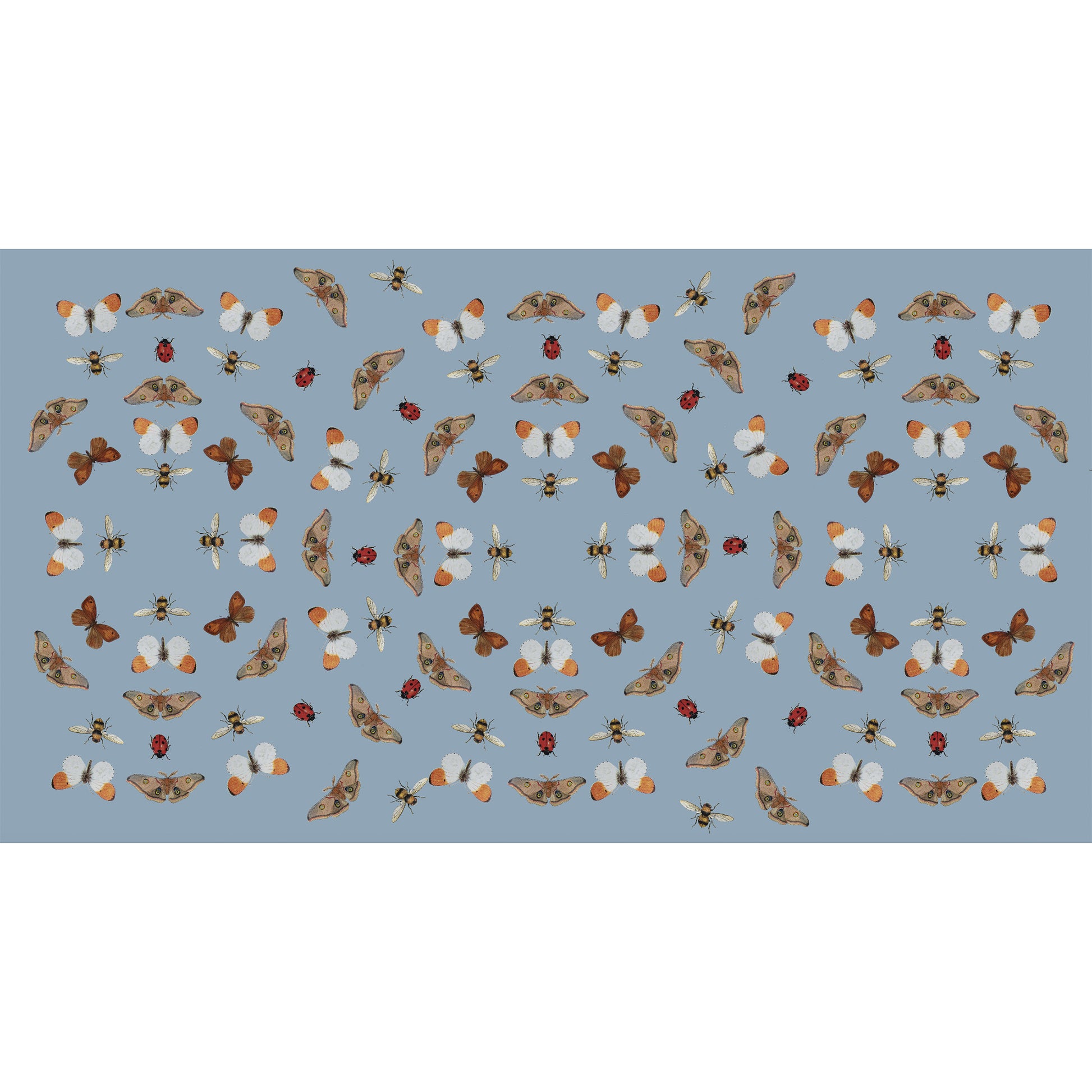 BUTTERFLY DANCE CASHMERE SCARF