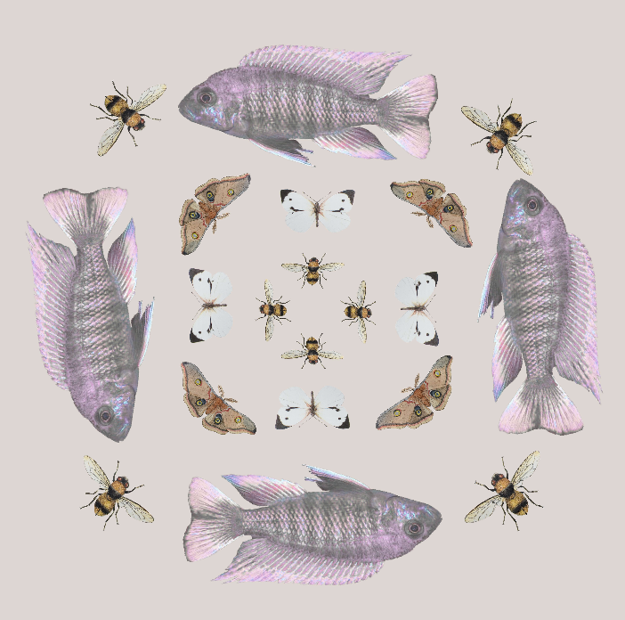 BUTTERFLY & FISH SILK TUNIC - TAUPE