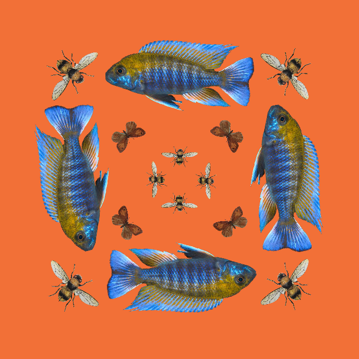 BUTTERFLY & FISH SILK TUNIC - ORANGE