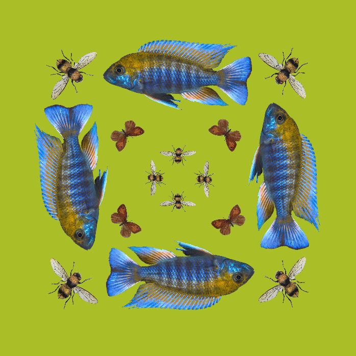 BUTTERFLY & FISH SILK TUNIC - GREEN