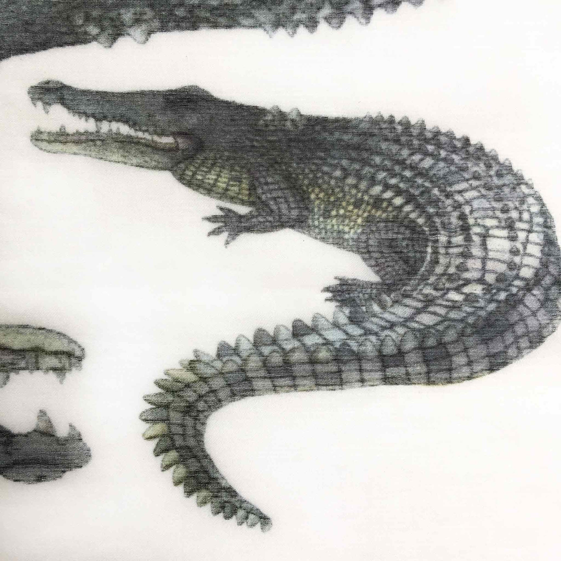 CROCODILE CASHMERE SCARF