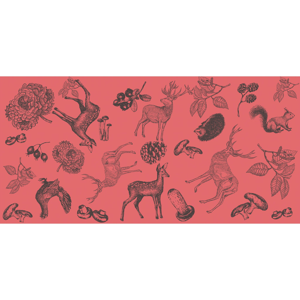 KASTHORI FELTED CASHMERE SCARF - CORAL