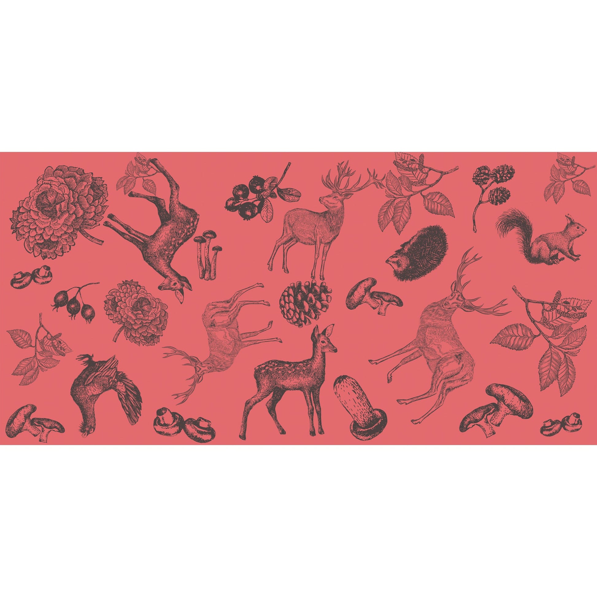 KASTHORI FELTED CASHMERE SCARF