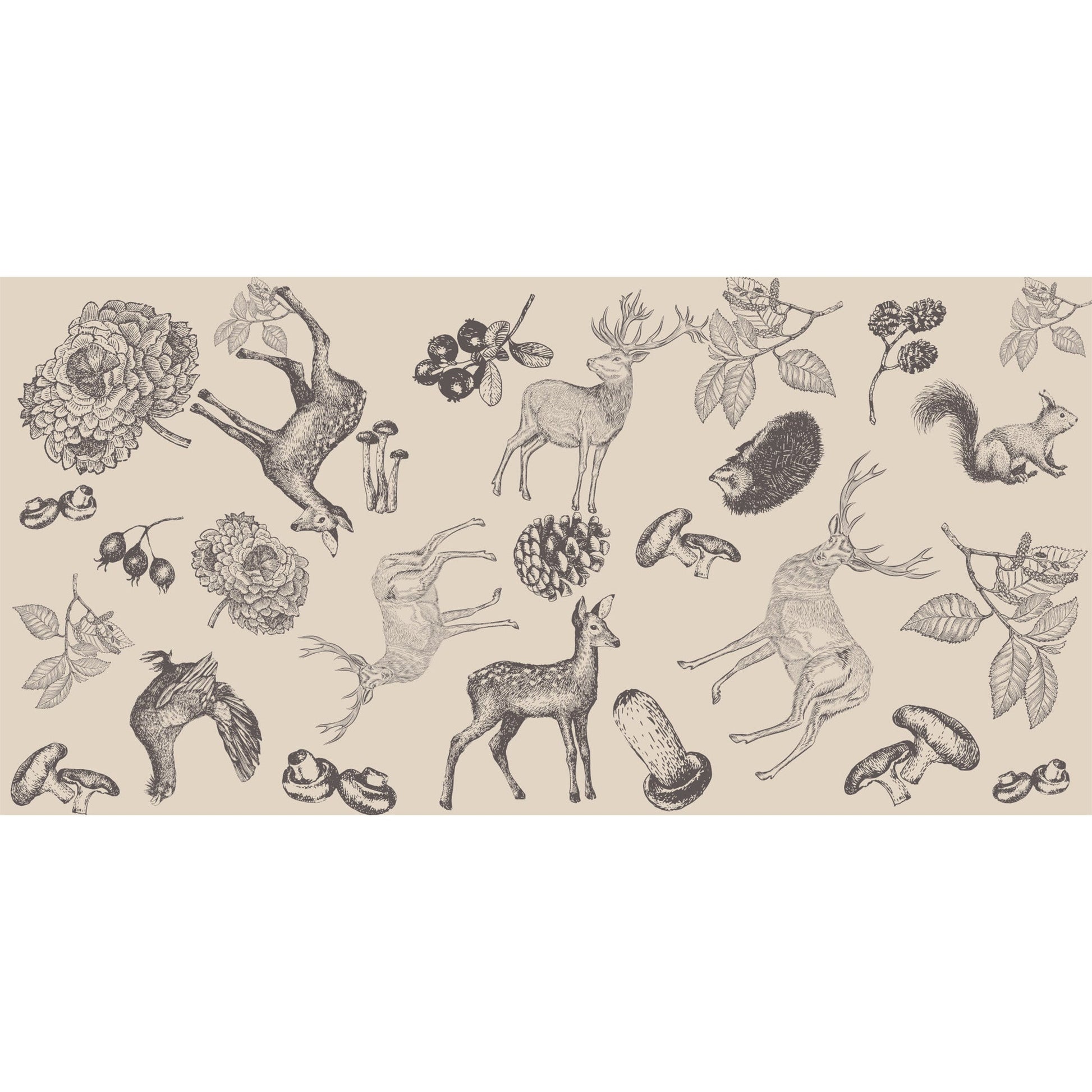 KASTHORI FELTED CASHMERE SCARF