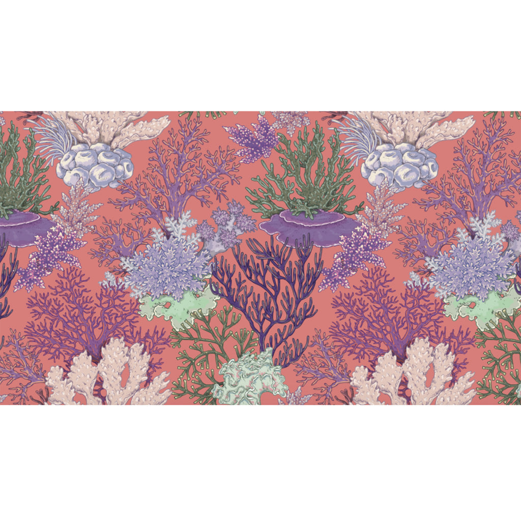 CORELIA CASHMERE SCARF - CORAL