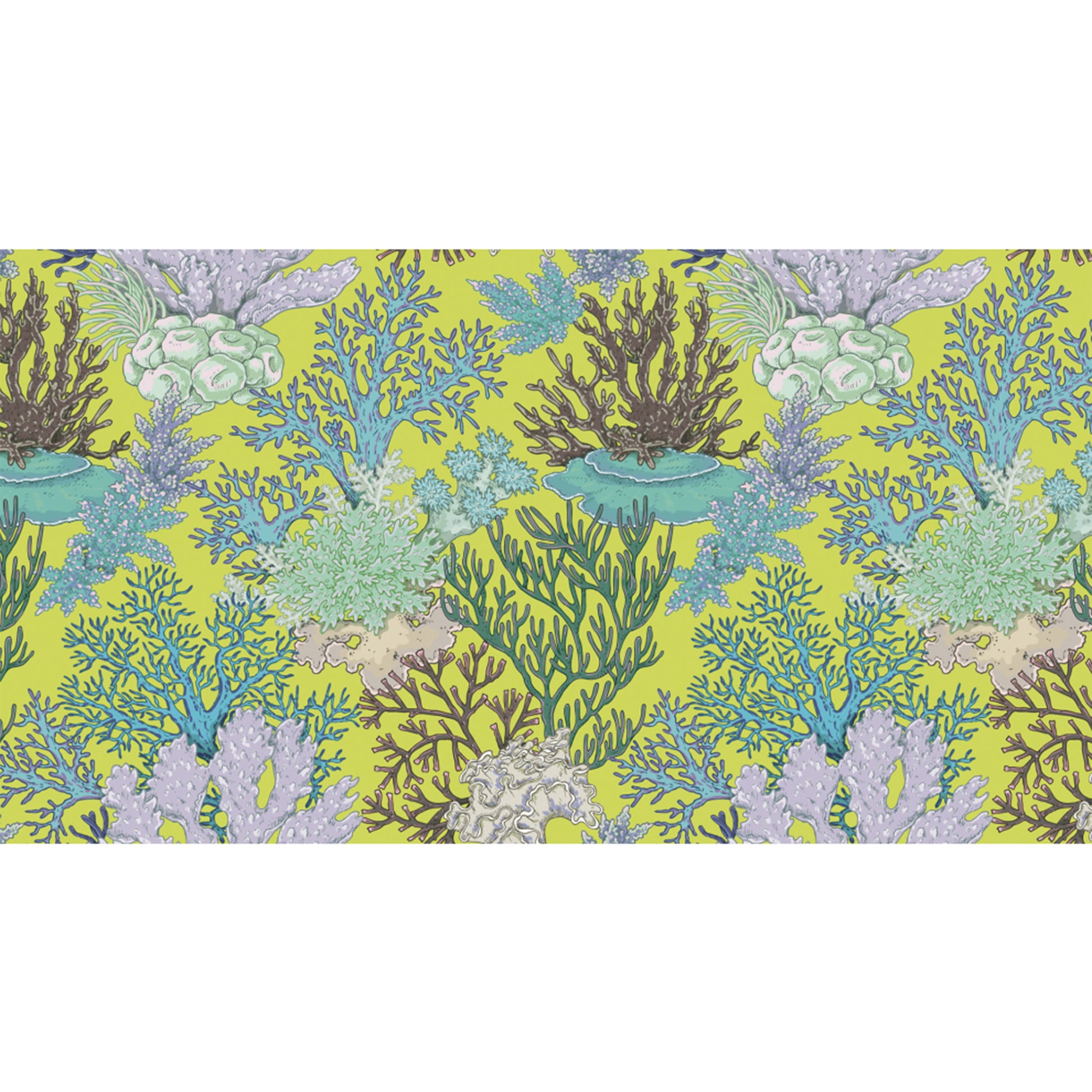 CORELIA CASHMERE SCARF