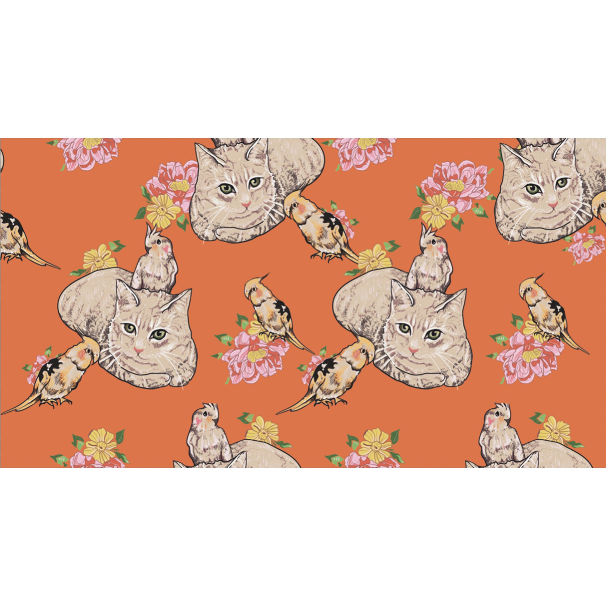 KATZE CASHMERE SCARF