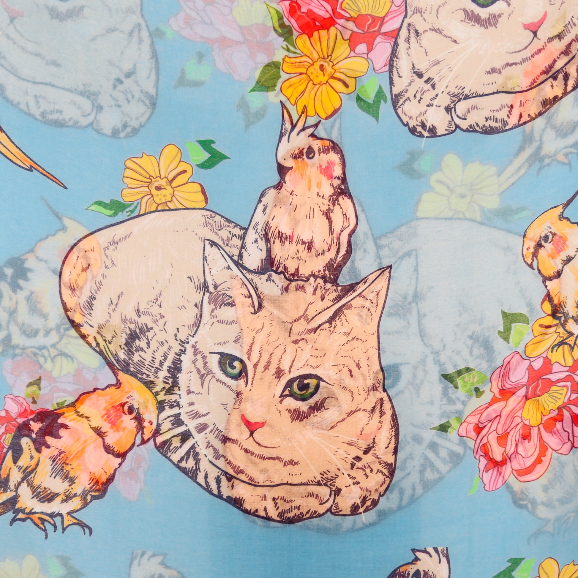 KATZE CASHMERE SCARF