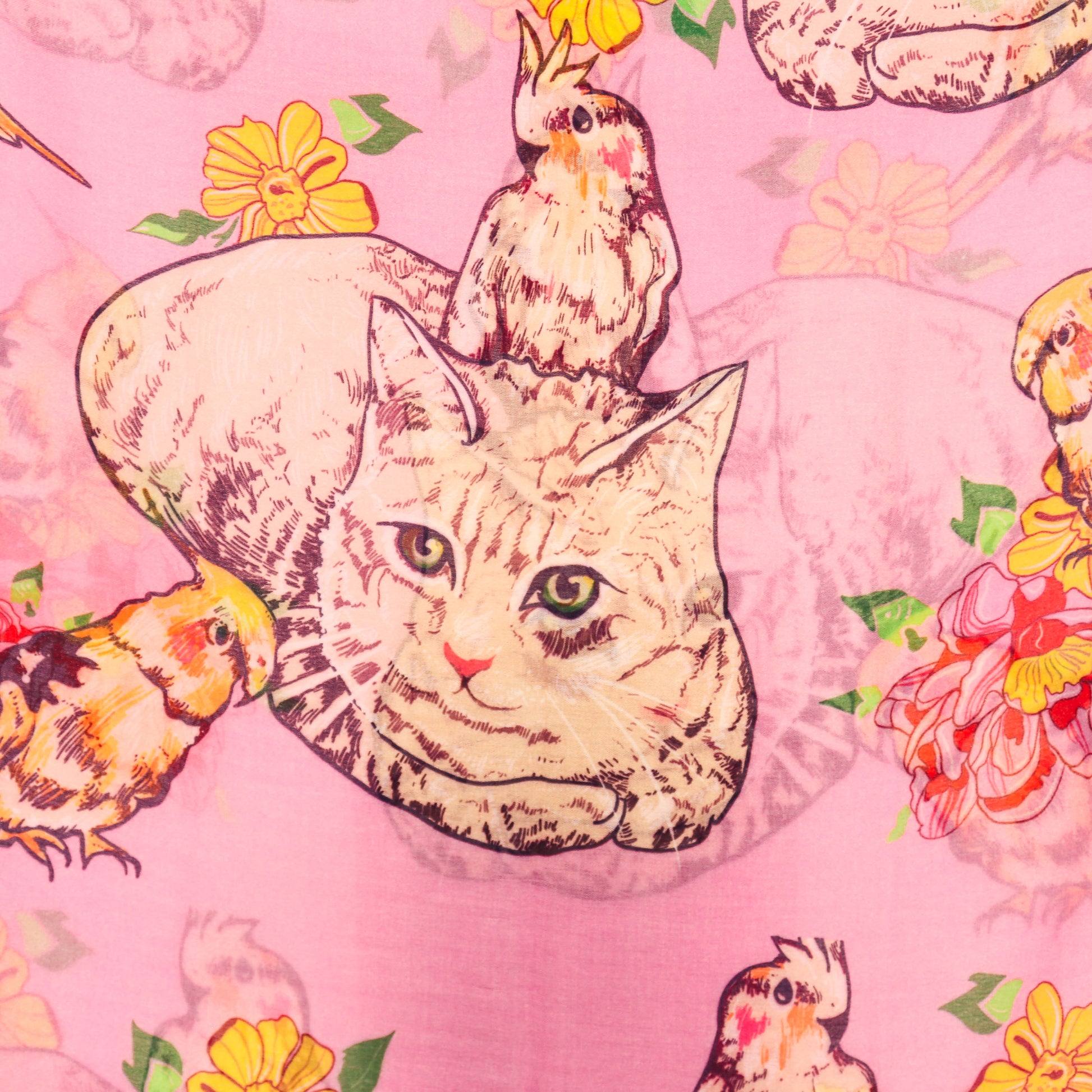 KATZE CASHMERE SCARF