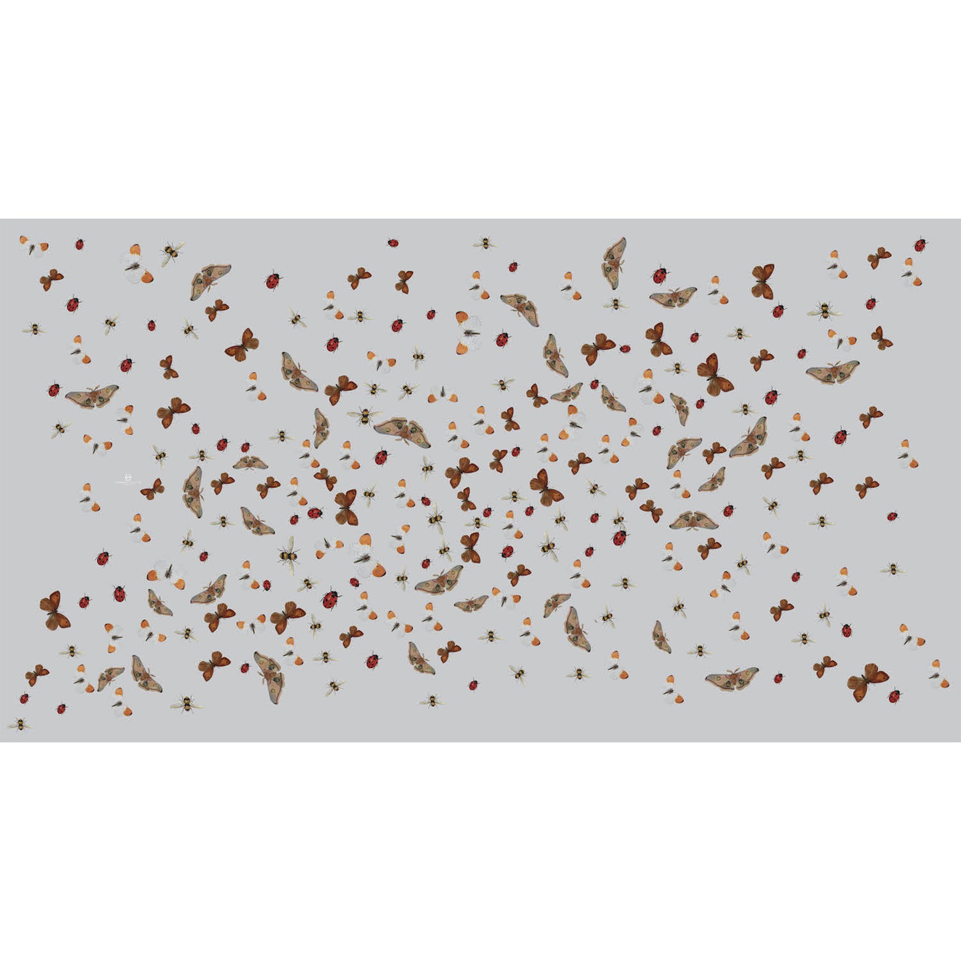 LADYBIRD CASHMERE SCARF