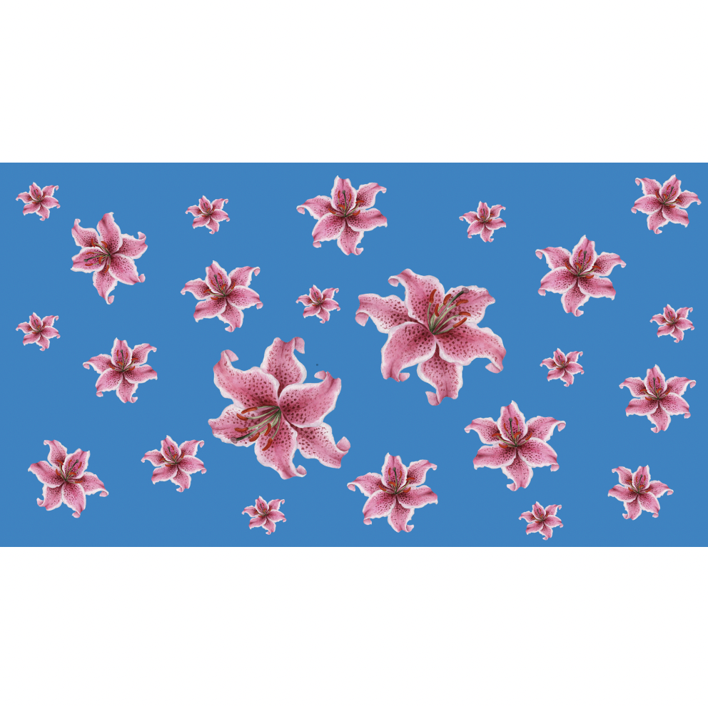 LILLY CASHMERE SCARF