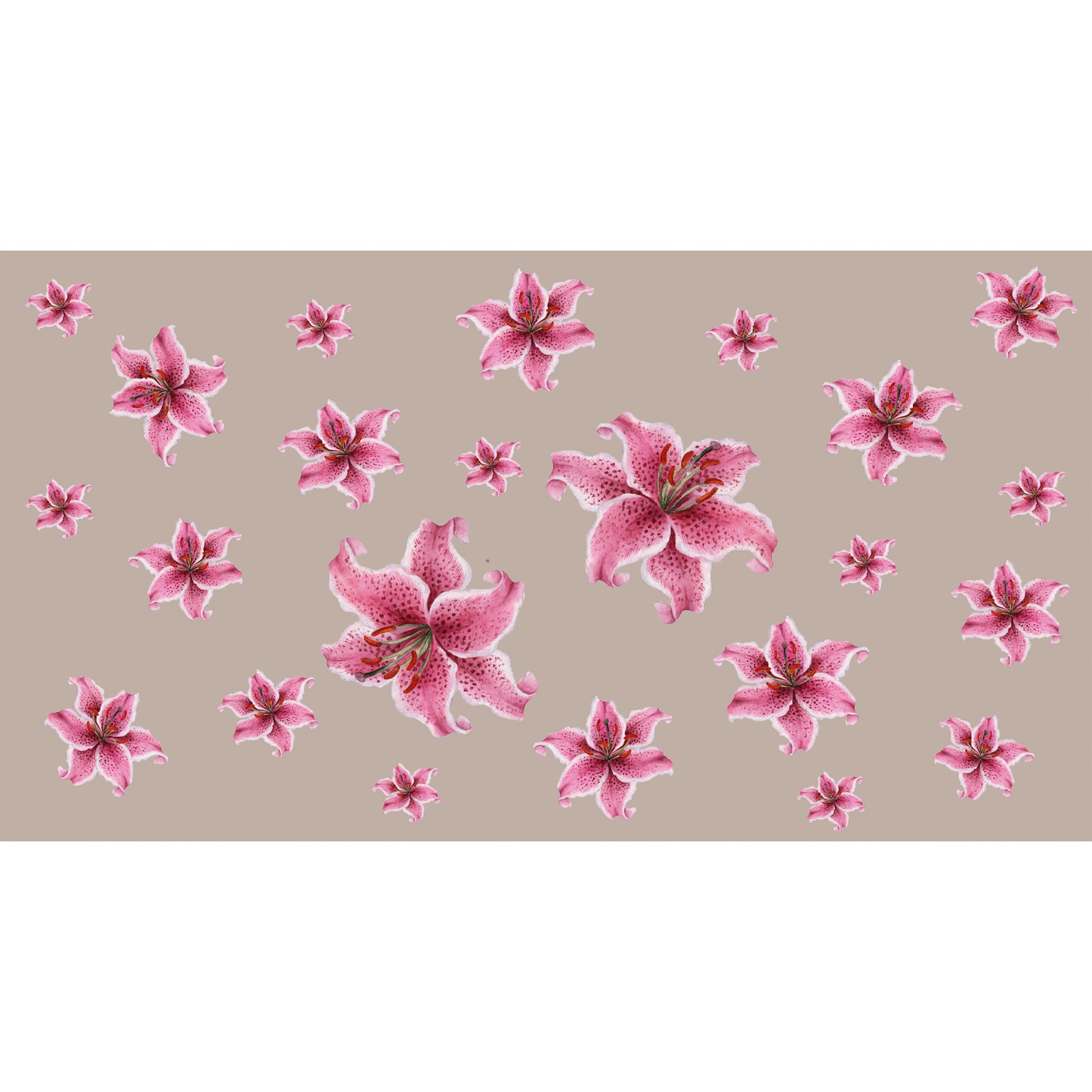 LILLY CASHMERE SCARF