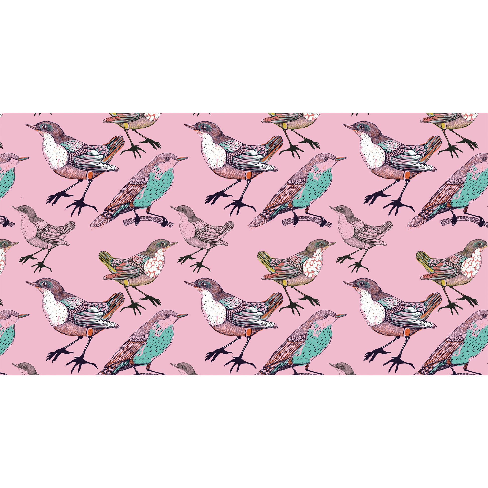 SPARROW CASHMERE SCARF