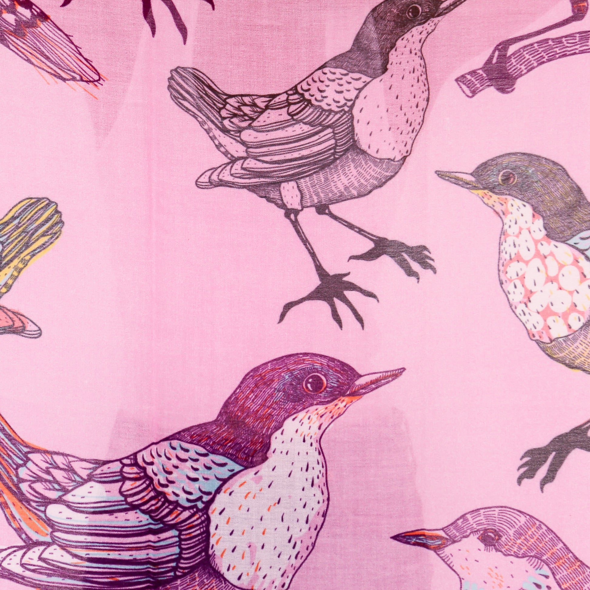 SPARROW CASHMERE SCARF