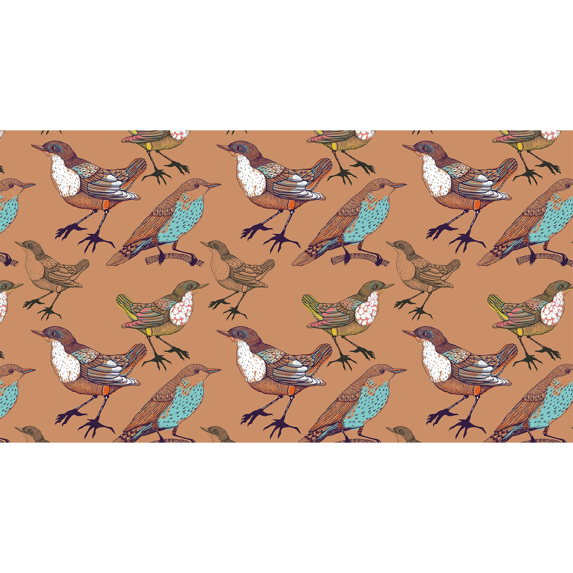 SPARROW CASHMERE SCARF