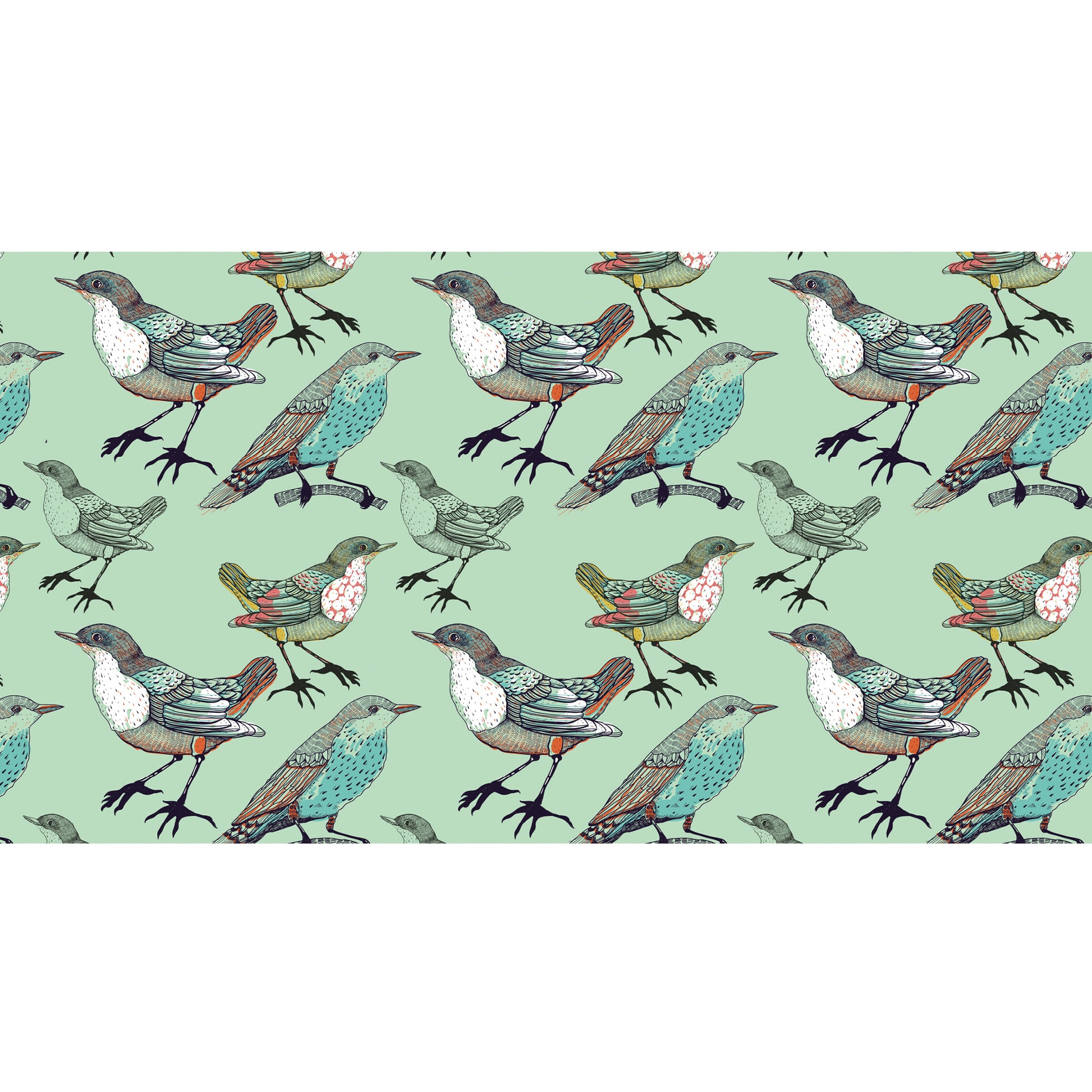 SPARROW CASHMERE SCARF