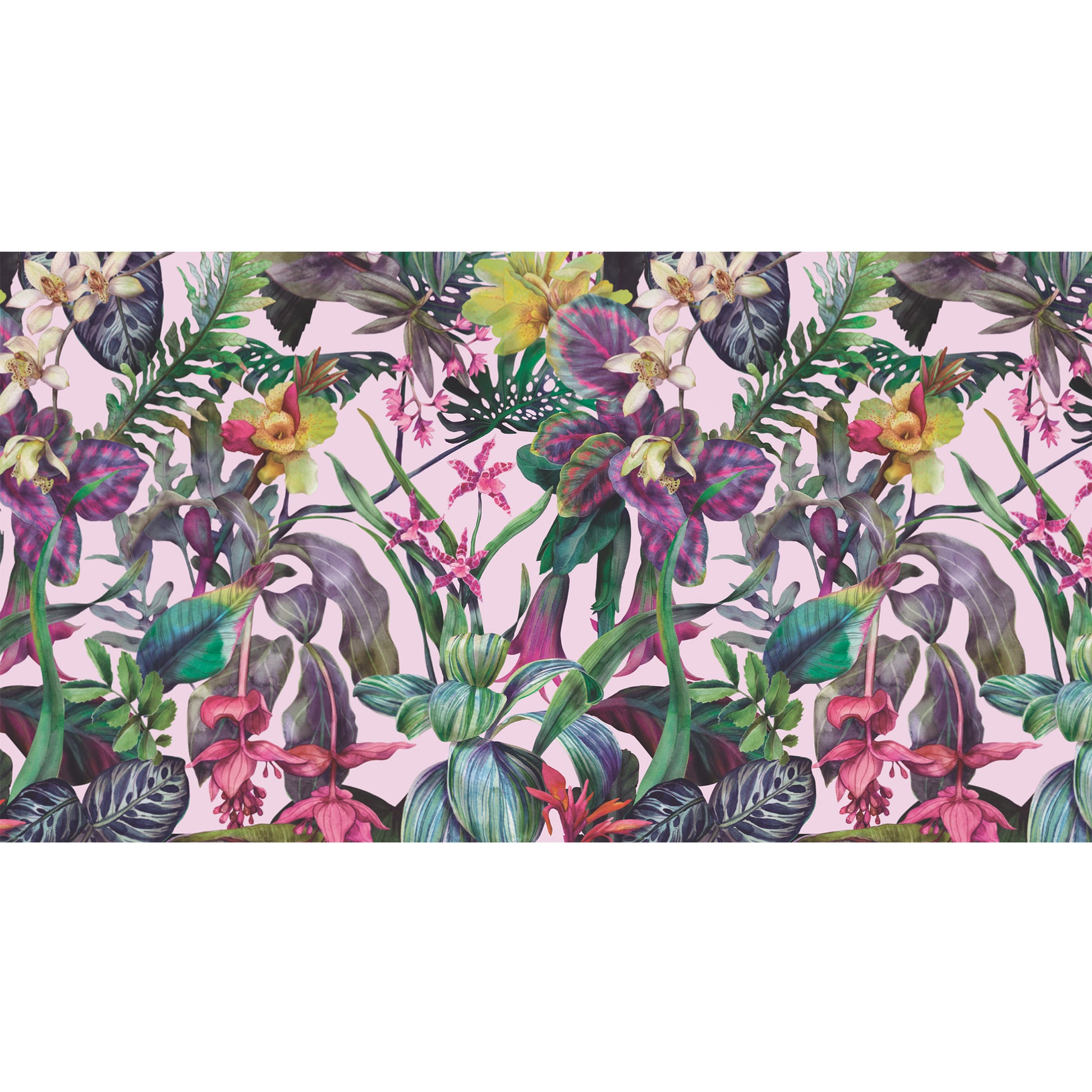 ORCHEDIA CASHMERE SCARF - LIGHT ROSE