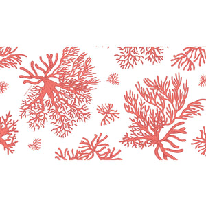 AMORAL CASHMERE SCARF - OFF WHITE/CORAL