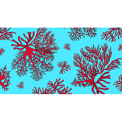 AMORAL CASHMERE SCARF - CYNE/RED