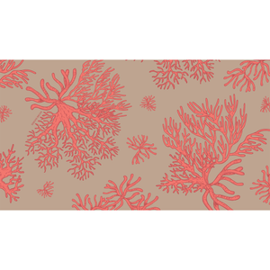 AMORAL CASHMERE SCARF - TAUPE/CORAL