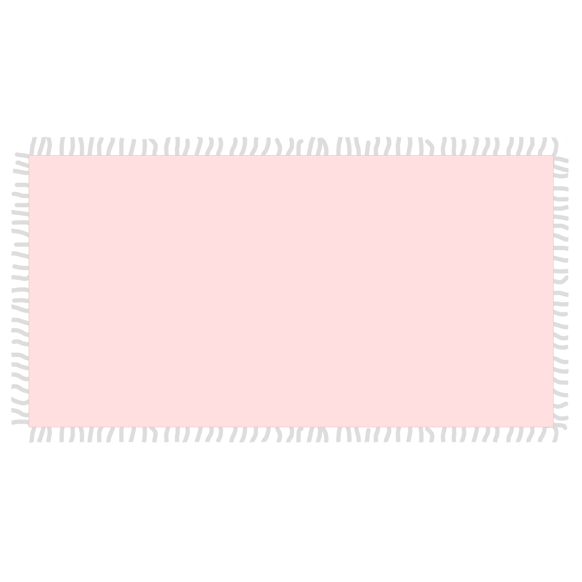 FELTED SCARF WITH FRINGES