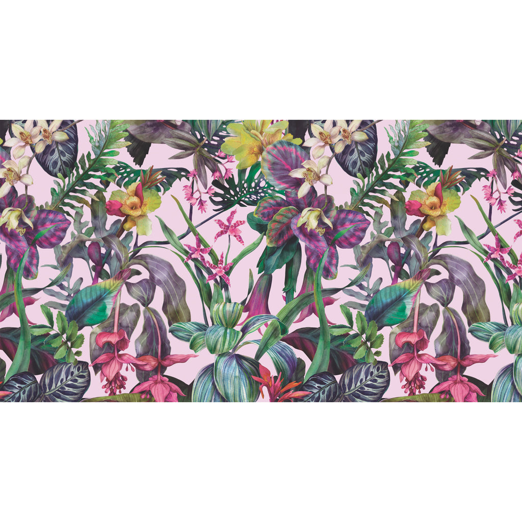 ORCHEDIA CASHMERE SCARF - ROSE