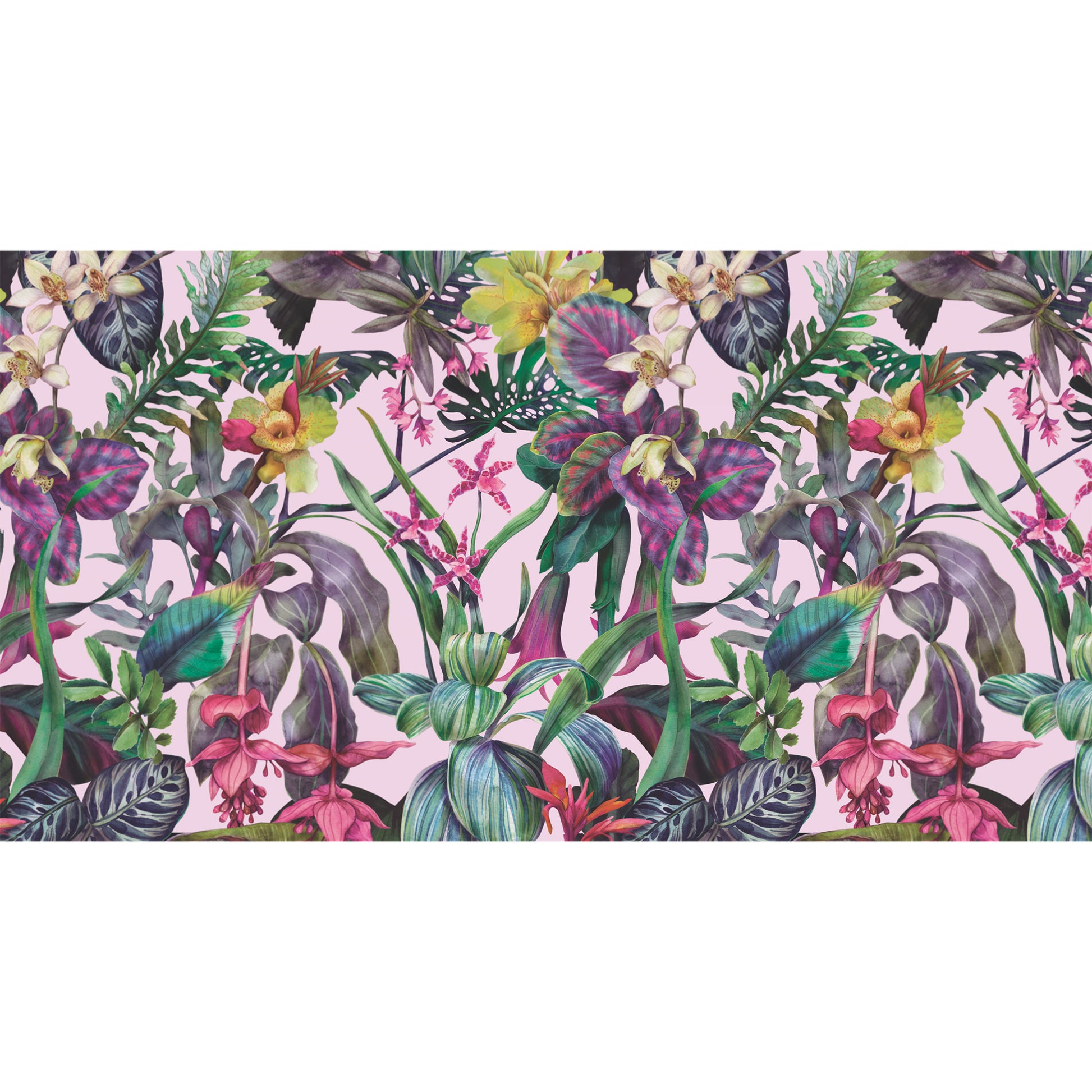 ORCHEDIA CASHMERE SCARF - ROSE