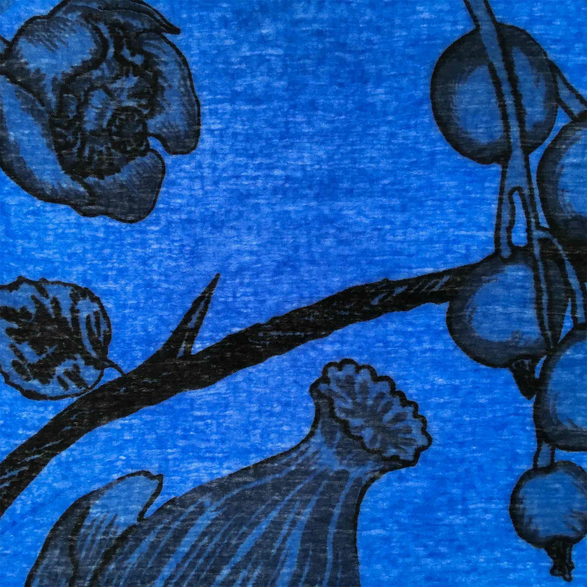 BOTANICAL FELTED CASHMERE  SCARF - BLUE