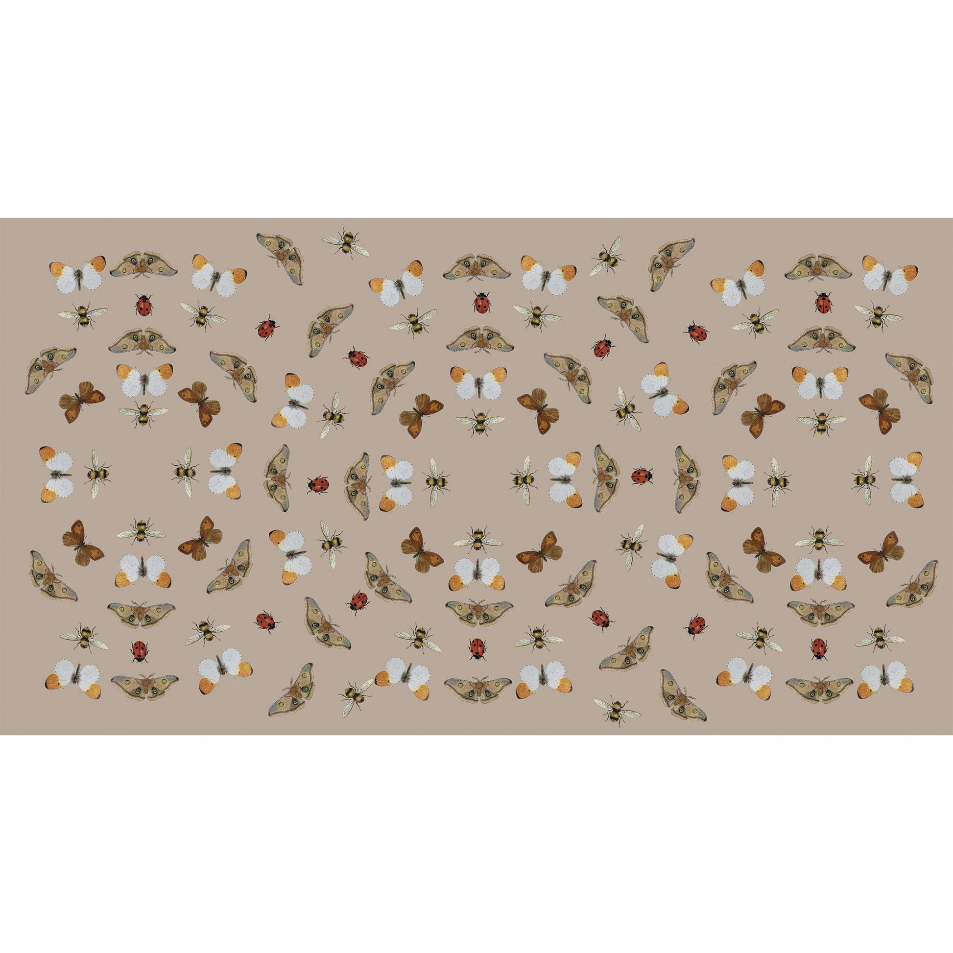 BUTTERFLY DANCE CASHMERE SCARF