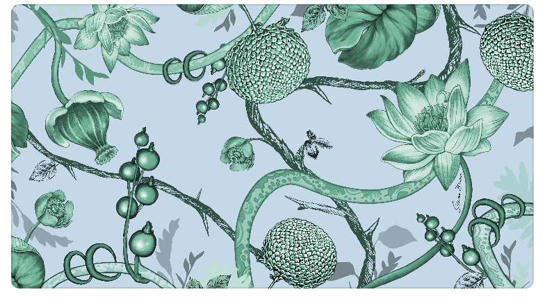BOTANICAL CASHMERE SCARF - BAYOU