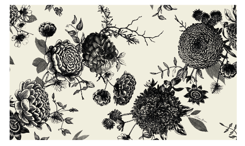 FLOWER EXPLOSION CASHMERE - CHALK