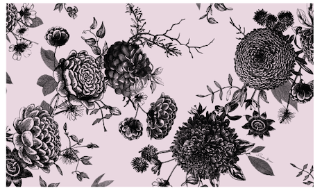 FLOWER EXPLOSION CASHMERE SCARF - PIXIE