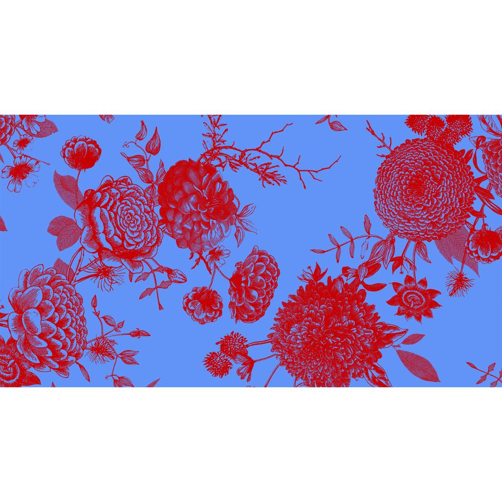 FLOWER EXPLOSION CASHMERE SCARF - azure/red