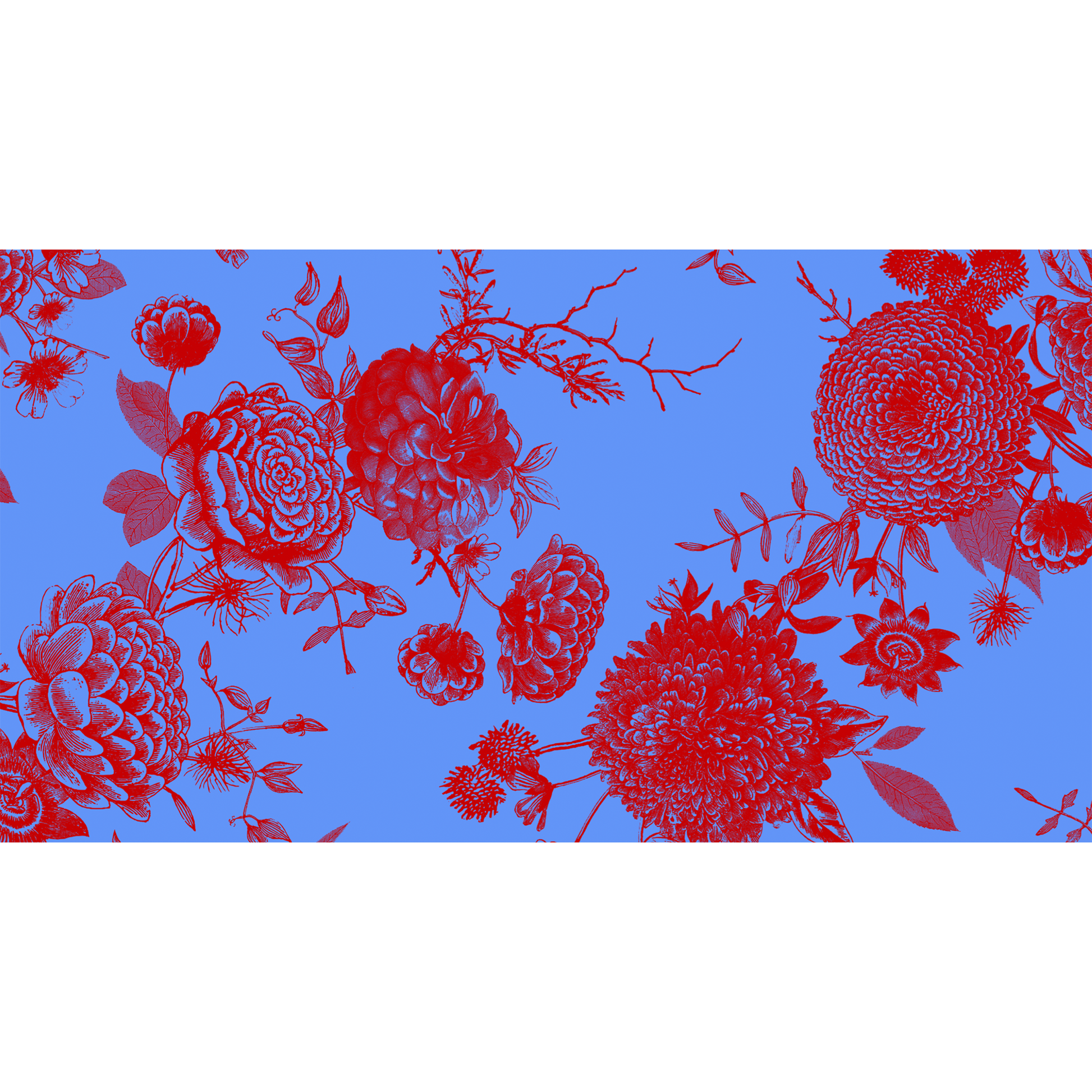 FLOWER EXPLOSION CASHMERE SCARF - azure/red