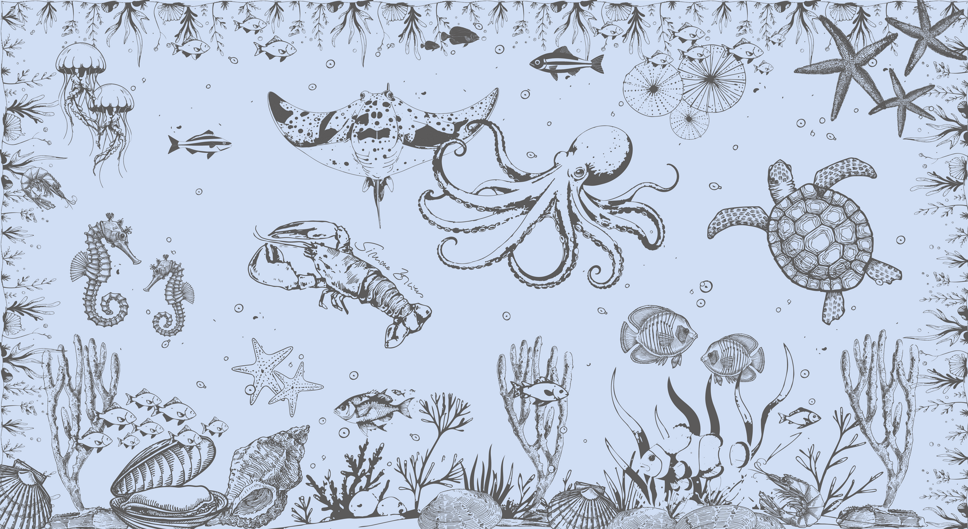 REEF CASHMERE SCARF - BAYOU